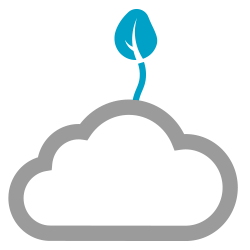 Born in cloud